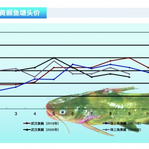 �S��~���¿����У������߰l���~�r�����µ�������ˮ�aǰ�ء�2020��10�¿��Ј�څ��