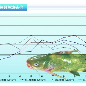 �S��~��ˮ���½�ץ�~�y���������Bֳ��ϧ�ۡ�����ˮ�aǰ�ء�2021��1�¿��Ј�څ��