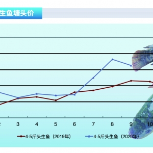 ���~�����~�������У��Bֳ���ֻų��~�����r������ˮ�aǰ�ء�2020��10�¿��Ј�څ��