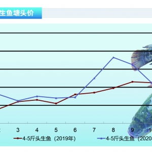 ���~�����~���У��Ј��y�N���~�rȫ���µ�������ˮ�aǰ�ء�2020��11�¿��Ј�څ��