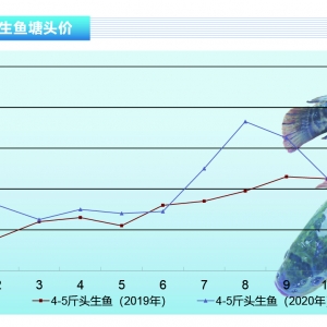 ���~���Ј������������ӣ��r���󷀡�����ˮ�aǰ�ء�2021��1�¿��Ј�څ��