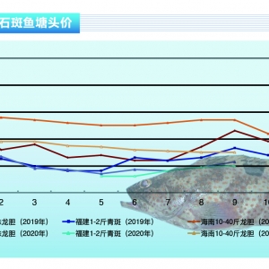 ʯ���~���Ј�څ�ã��~�r���m�ϝq������ˮ�aǰ�ء�2021��10�¿��Ј�څ��