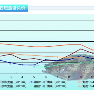 ʯ���~(y��)�����M(f��i)ƣܛ���p��(ji��)���~(y��)�r(ji��)���F(xi��n)�»�������ˮ�a(ch��n)ǰ�ء�2020��11�¿��Ј�(ch��ng)څ��(sh��)