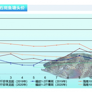 ʯ���~(y��)������D(zhu��n)�䣬���г��~(y��)���~(y��)�r(ji��)���m(x��)�µ�������ˮ�a(ch��n)ǰ�ء�2020��12�¿��Ј�(ch��ng)څ��(sh��)