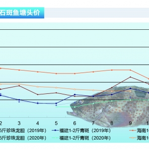 ʯ���~(y��)�����顢��߽��B��q���������п��g������ˮ�a(ch��n)ǰ�ء�2021��1�¿��Ј�(ch��ng)څ��(sh��)