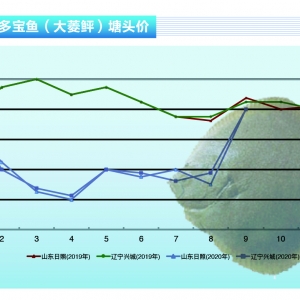 �����~����Ʒ�~�oȱ�����г��m���á�����ˮ�aǰ�ء�2020��10�¿��Ј�څ��