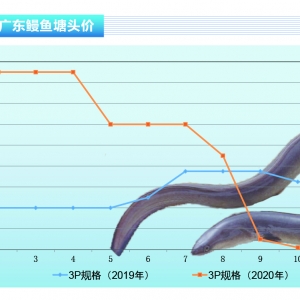 ���~���n�������r�񷀶��������Ј��rС���µ�������������ˮ�aǰ�ء�2020��11�¿��Ј� ...