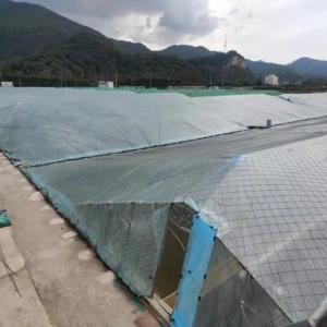 ���������£��õ��x��͹��������B�r�ɹ�