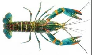 ���޵�ˮ���r�����ش��gͻ�ƣ�