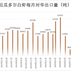 �M��������60%��12�¶�϶ࠖ���r���������ء���