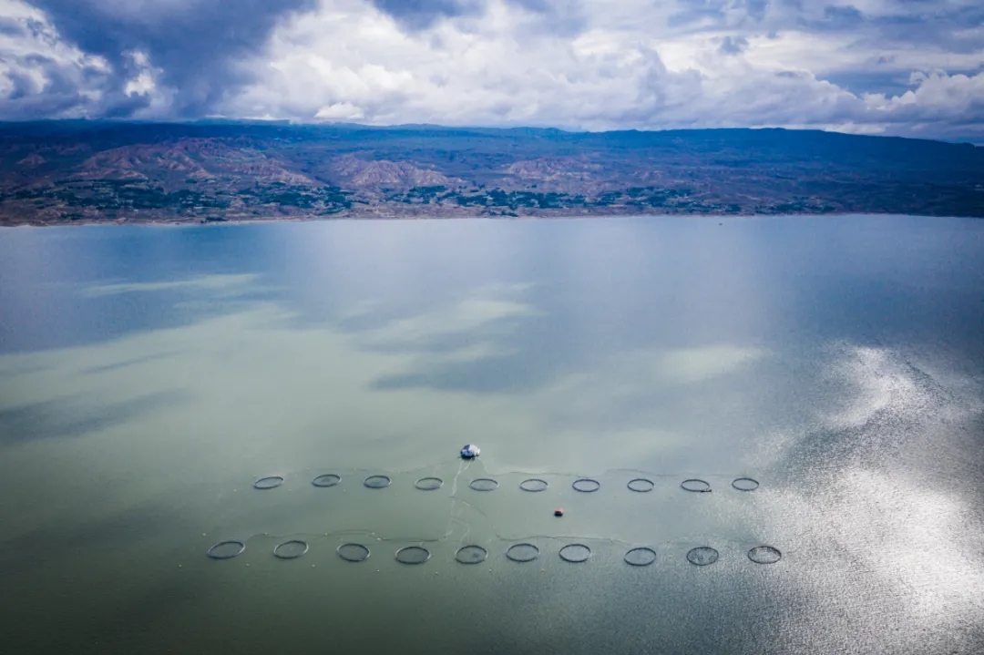 ��(y��ng)���ࣺ���y(t��ng)�����~�N��ģʽ�׶�͹�@����ʶ��²��ܫ@�á���������