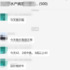 43Ԫ/�ʯ���~���q����2������c