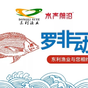 һƬ�t���_���~�r���ٝq��