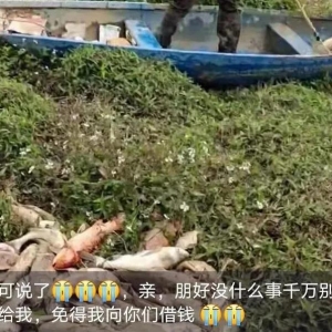 ̝���ޣ�ʹʧ30���f���N�~�ֱ���