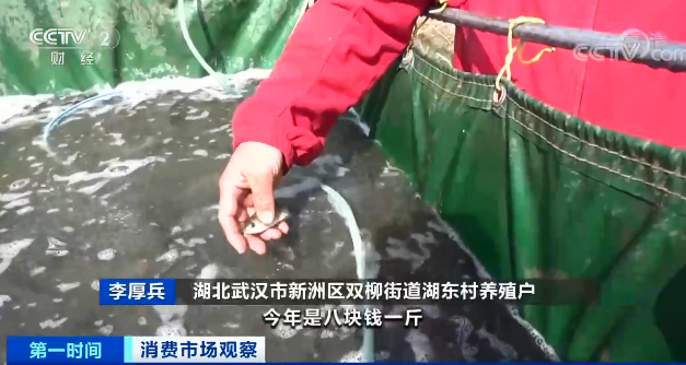 ���l�~����(b��o)��(f��)�ԡ��q�r(ji��)��(chu��ng)5-6����¸�