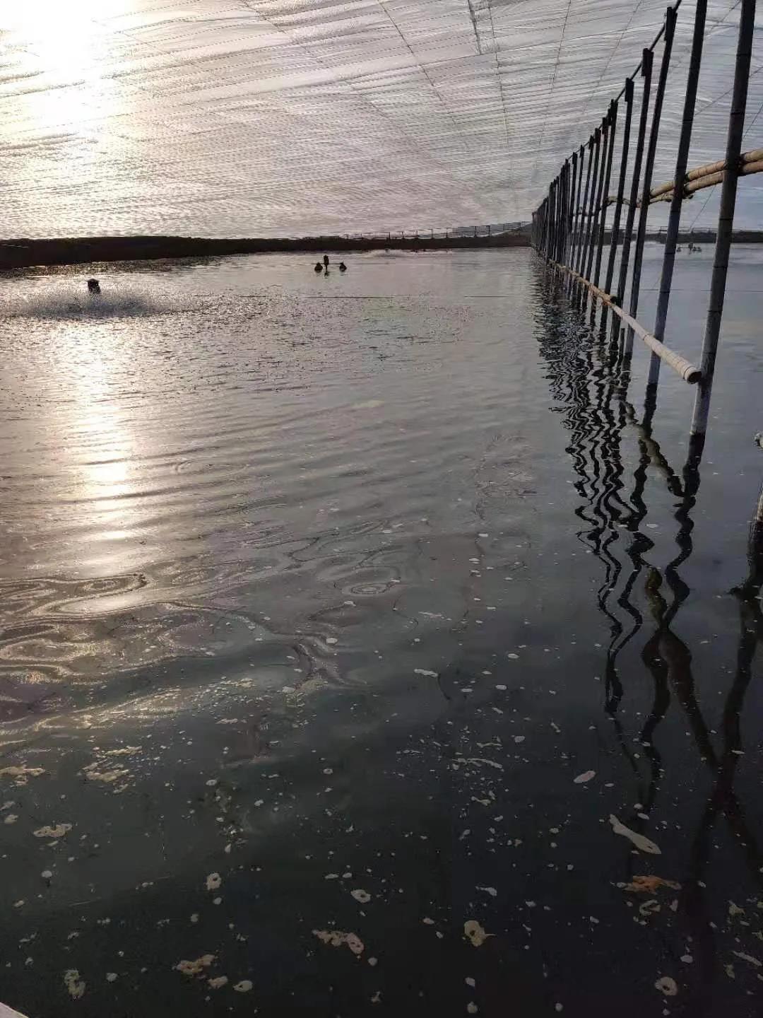 �����Ƕ���ɹ���100%����������3�fԪ��