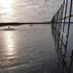 �����Ƕ���ɹ���100%����������3�fԪ��