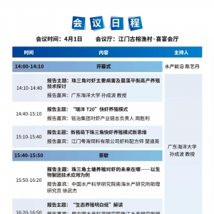 ��W�����rģʽ�������@�����