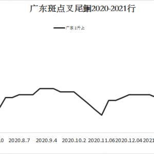 �t�~�Ј��y�Ӹ߃r��