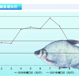 ���~�������������ش̼��~�r�����ϝq������ˮ�aǰ�ء�2021��2�¿��Ј�څ��