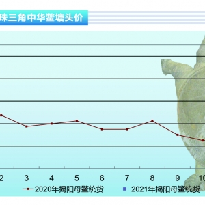 ���~��һ�¼��~�r���^�m��λ�\�С�����ˮ�aǰ�ء�2021��2�¿��Ј�څ��