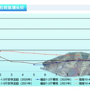 ʯ���~(y��)����q����䣬�Ј�(ch��ng)��̎�֏�(f��)�ڡ�����ˮ�a(ch��n)ǰ�ء�2021��2�¿��Ј�(ch��ng)څ��(sh��)