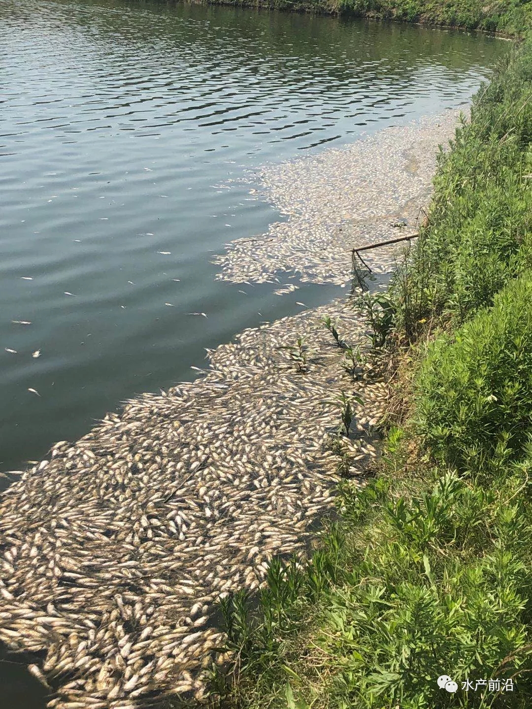 �l(f��)�����~��ݛ�����ȫ����ذl(f��)����(y��ng)�����ش�ʩ