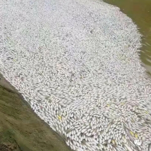 ���~�����^�m(x��)�l(f��)�j���S��~�������韩