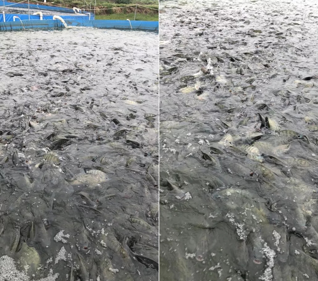 ��λ�a(ch��n)����200�ﲻ�ǉ������ţ�Ĵ�ǹ��S��߀���������