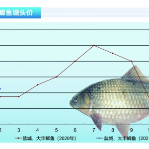 �a�~(y��)������(ji��)����(d��ng)������F(xi��n)��q���ϰ�����m(x��)�����á�����ˮ�a(ch��n)ǰ�ء�2021��3�¿��Ј�(ch��ng)څ��(sh��)