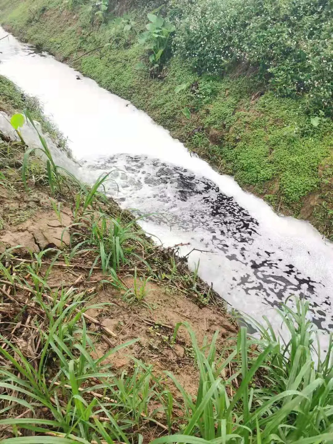 �������У����~�����]Ű�꣬�Uˮ�ց�