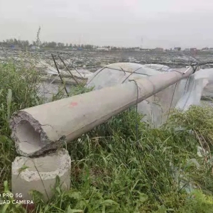 ��|�ĺ�ͮa(ch��n)������������鿴�����B(y��ng)ֳ�����鲻�p