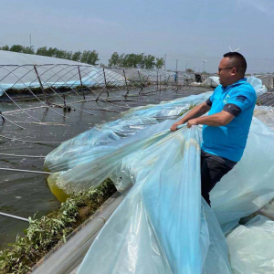 �����L�Ĵ��С���B(y��ng)�r����I(y��)�������Ԯ��