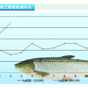 ���~��ȫ����ȱ�~��������m(x��)�q�����Ѓr�o�С�����ˮ�a(ch��n)ǰ�ء�2021��4�¿��Ј�څ��