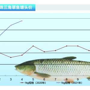 ���~����՚����£����~������m(x��)���á�����ˮ�a(ch��n)ǰ�ء�2021��5�¿��Ј�څ��