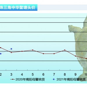 ���~�����¼��~�r����F���ŷ���������ˮ�aǰ�ء�2021��4�¿��Ј�څ��