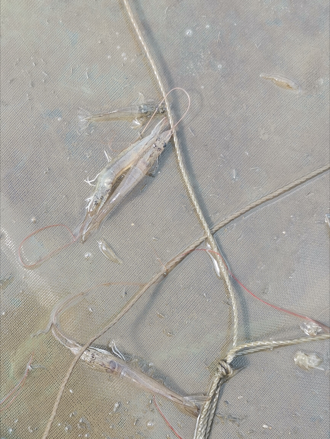 �_�����°��r�Ј��ӑB���㿴�ú��І᣿