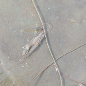 �_�����°��r�Ј��ӑB���㿴�ú��І᣿