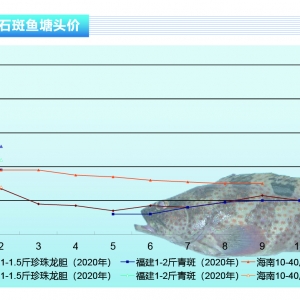 ʯ���~(y��)������(ji��)���gӭ��(l��i)�߹�r(sh��)�̡�����ˮ�a(ch��n)ǰ�ء�2021��3�¿��Ј�(ch��ng)څ��(sh��)