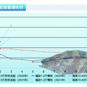 ʯ���~(y��)��ȱ�~(y��)���S�ָ߃r(ji��)λ��һ��(g��)�¡�����ˮ�a(ch��n)ǰ�ء�2021��4�¿��Ј�(ch��ng)څ��(sh��)