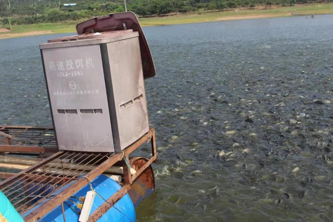 ���E���_�ǳ���50������4��7��​