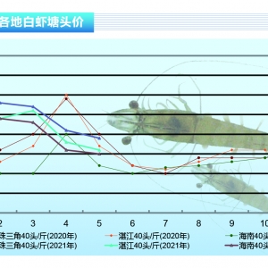 ���r��5���r�r���m�»����r���߰l������ˮ�aǰ�ء�2021��6�¿��Ј�څ��