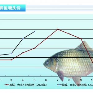 �a�~(y��)��������c(di��n)���F(xi��n)������ˮ�a(ch��n)ǰ�ء�2021��6�¿��Ј�(ch��ng)څ��(sh��)