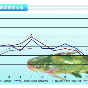 �S��~������Σ����ȥ���Ј�ȱ���~�~�r���{������ˮ�aǰ�ء�2021��6�¿��Ј�څ��