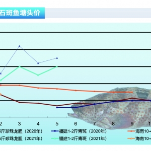 ʯ���~(y��)��5����Ѯ�~(y��)�r(ji��)�����_(k��i)�q������ˮ�a(ch��n)ǰ�ء�2021��6�¿��Ј�(ch��ng)څ��(sh��)