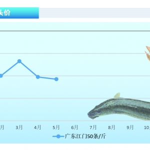 ���q�����~(y��)�������٣���СҎ(gu��)��r(ji��)����������������ˮ�a(ch��n)ǰ�ء�2021��6�¿��Ј�(ch��ng)څ��(sh��)