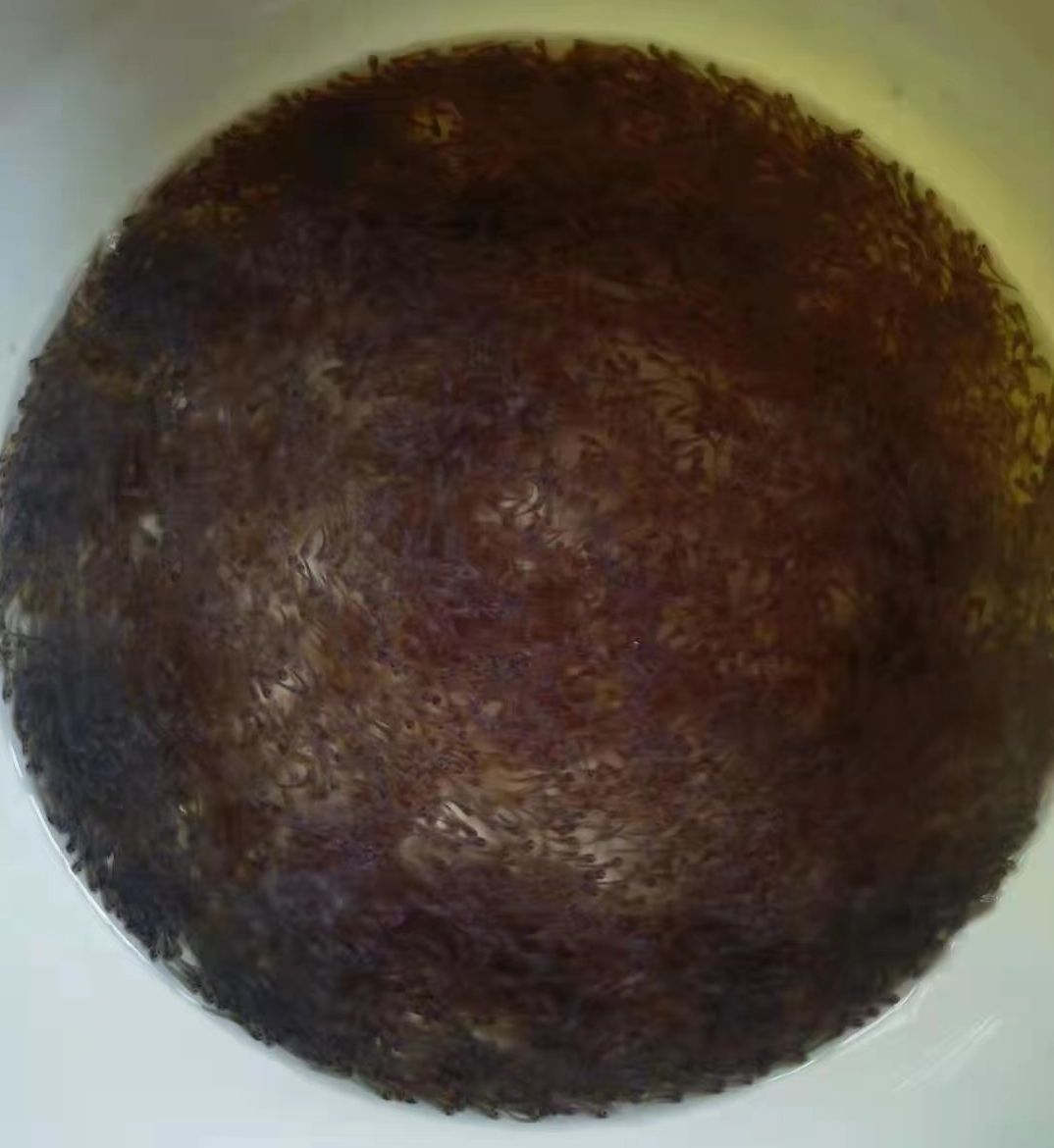 ���N��ͻ�ƣ��t�~�s����Ʒ�Nָ�տɴ�