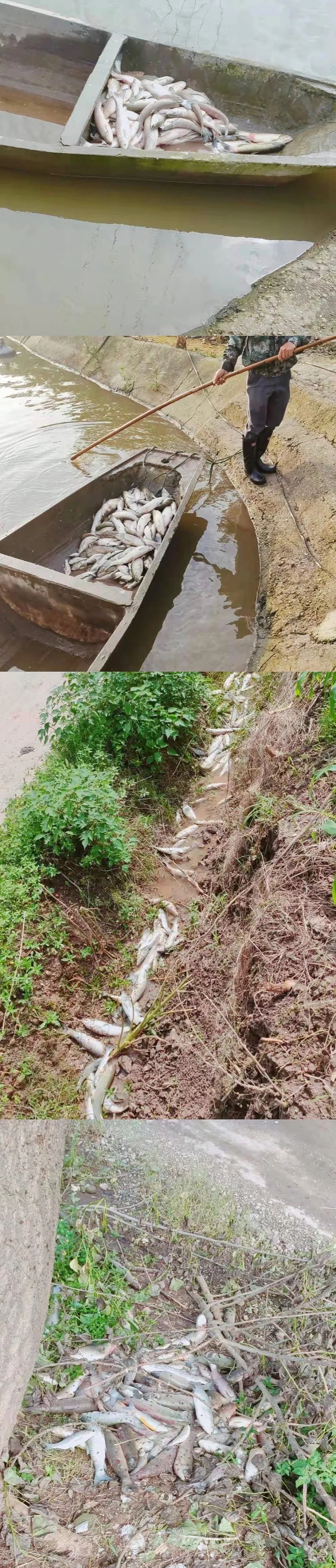 ���Ρ�����ʽ���µ����ֻ��ԡ����~�󣬲��~��ߝq1Ԫ��