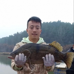 �Z�~����_�ڵ�500��/��ֻ��15�죡