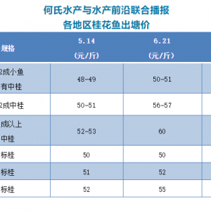 ȫ���ϝq��2021��6��21�ո����Z�~���^�r(ji��)�񲥈�(b��o)